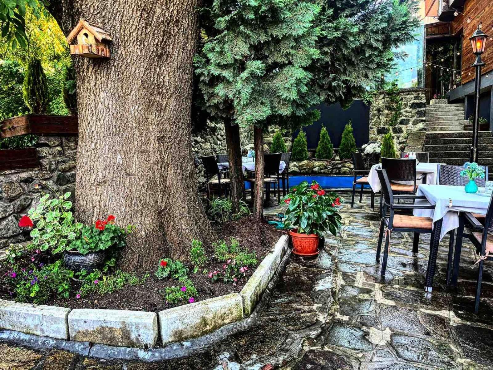 Andesite Boutique